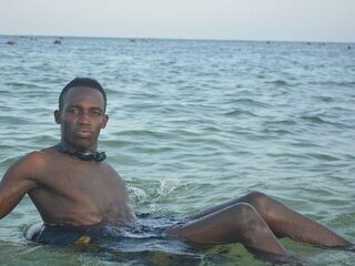 Diazal Veinn
