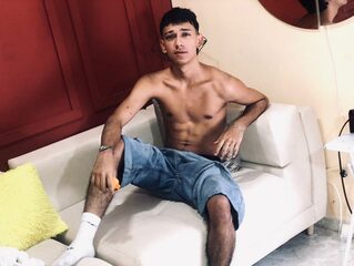 Stebaslo
